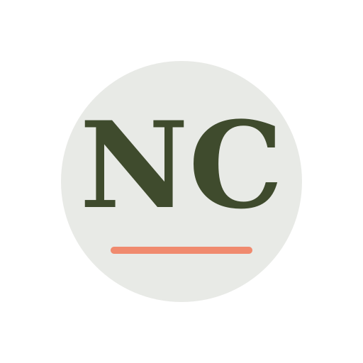 Nest Chimney Service logo